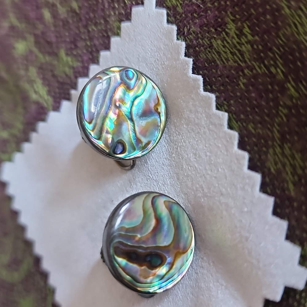 Vintage ABALONE SCREW ON EARRINGS